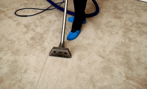 Steam Carpet Cleaning