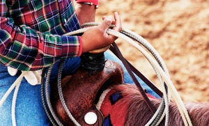 Centre équestre des deux rives: 3 séances d'essai de poney à 19,90 € au Centre équestre des Deux Rives