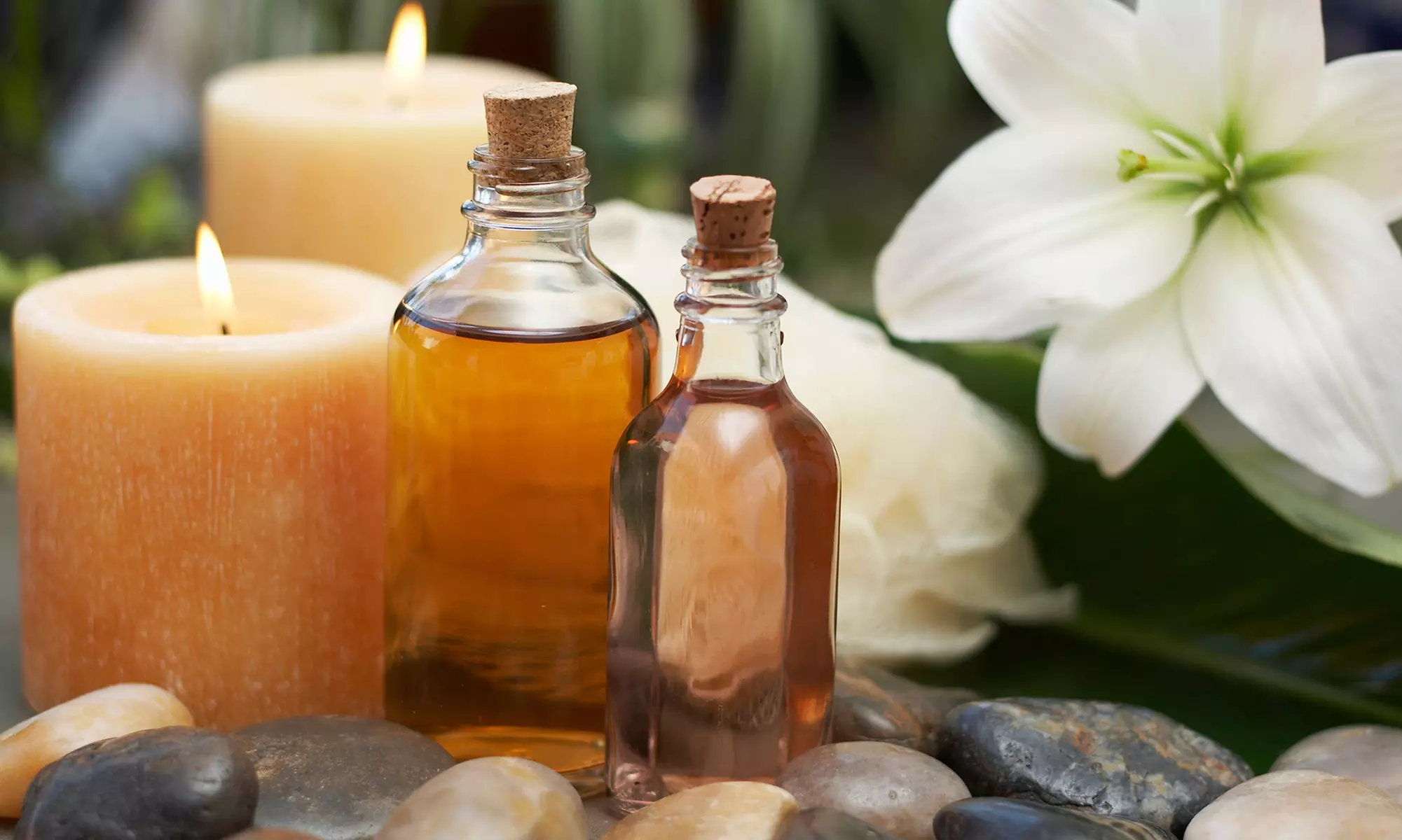 45 Min. Wellness- oder Traditionelle Chinesische Ganzkörpermassage