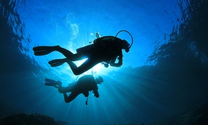 Scuba Project Asd: Esperienza o corso di Try Scuba Diving per una o 2 persone con Scuba Project Asd (sconto fino a 90%)