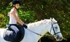 Up to 38% Off at Babylon Riding Center