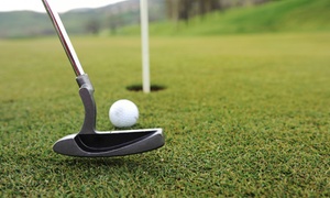 Up to 51% Off Group Round of Golf in Wood Dale