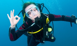 Neodive: Refresco de buceo para 1, 2 o 4 personas desde 29,95 € en Neodive