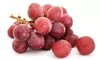 $225 for $499 Worth of Nutritional Counseling — Magnum-Opus