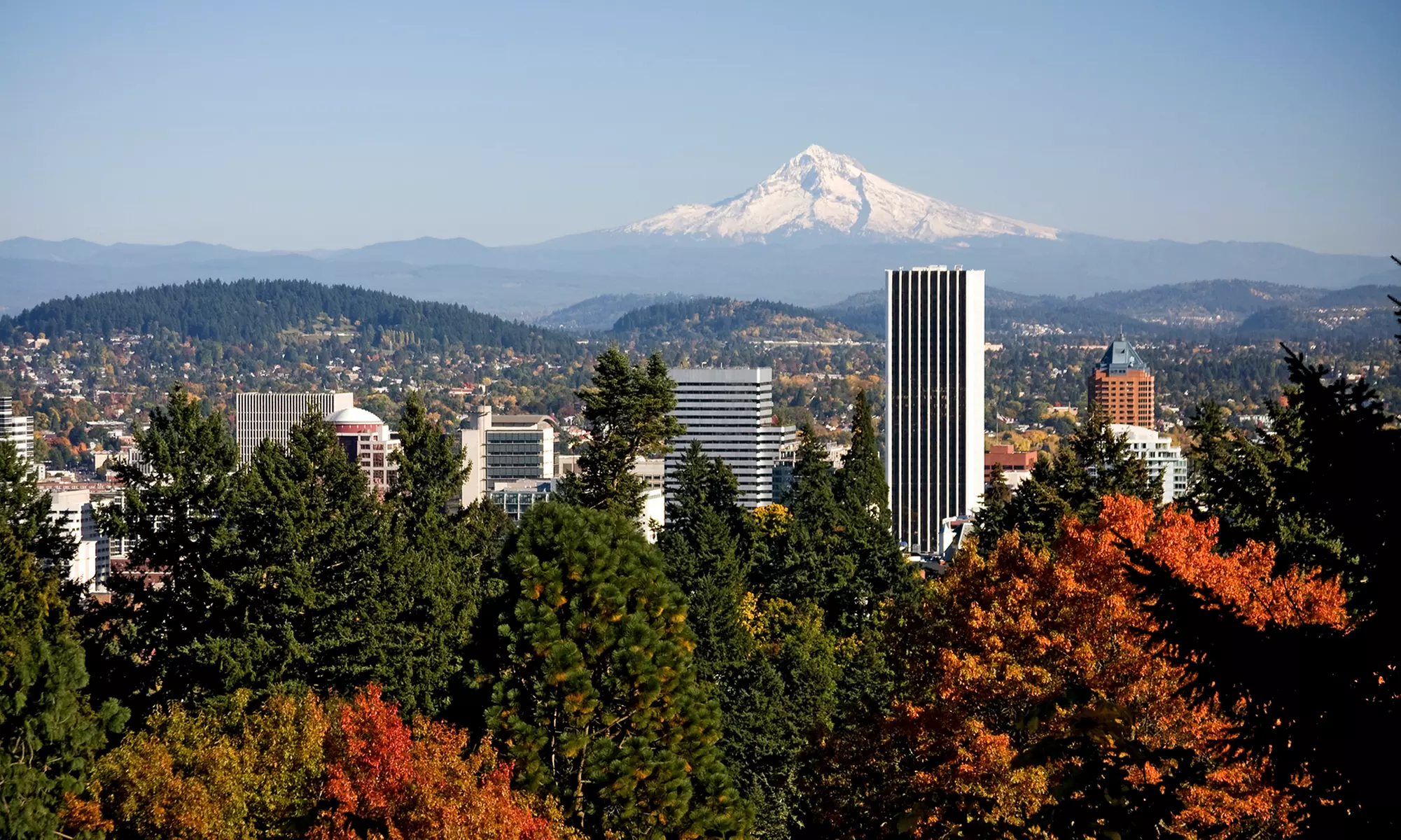 Stay at 3.5-Star Top-Secret Portland Hotel in Oregon. Dates into May. - Primary Image