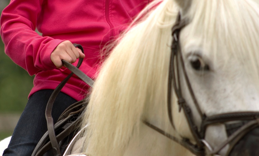 Image 1: Children's Horse Riding Lessons