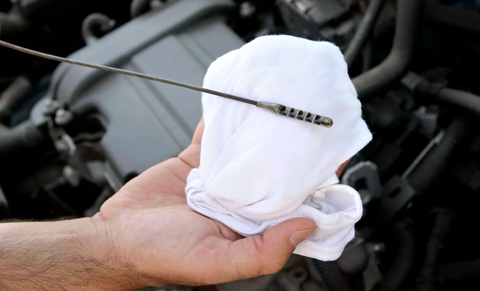 Semi-Synthetic or Full Synthetic Oil Change at Nortex Lube and Tune (Up to 42% Off) - Primary Image