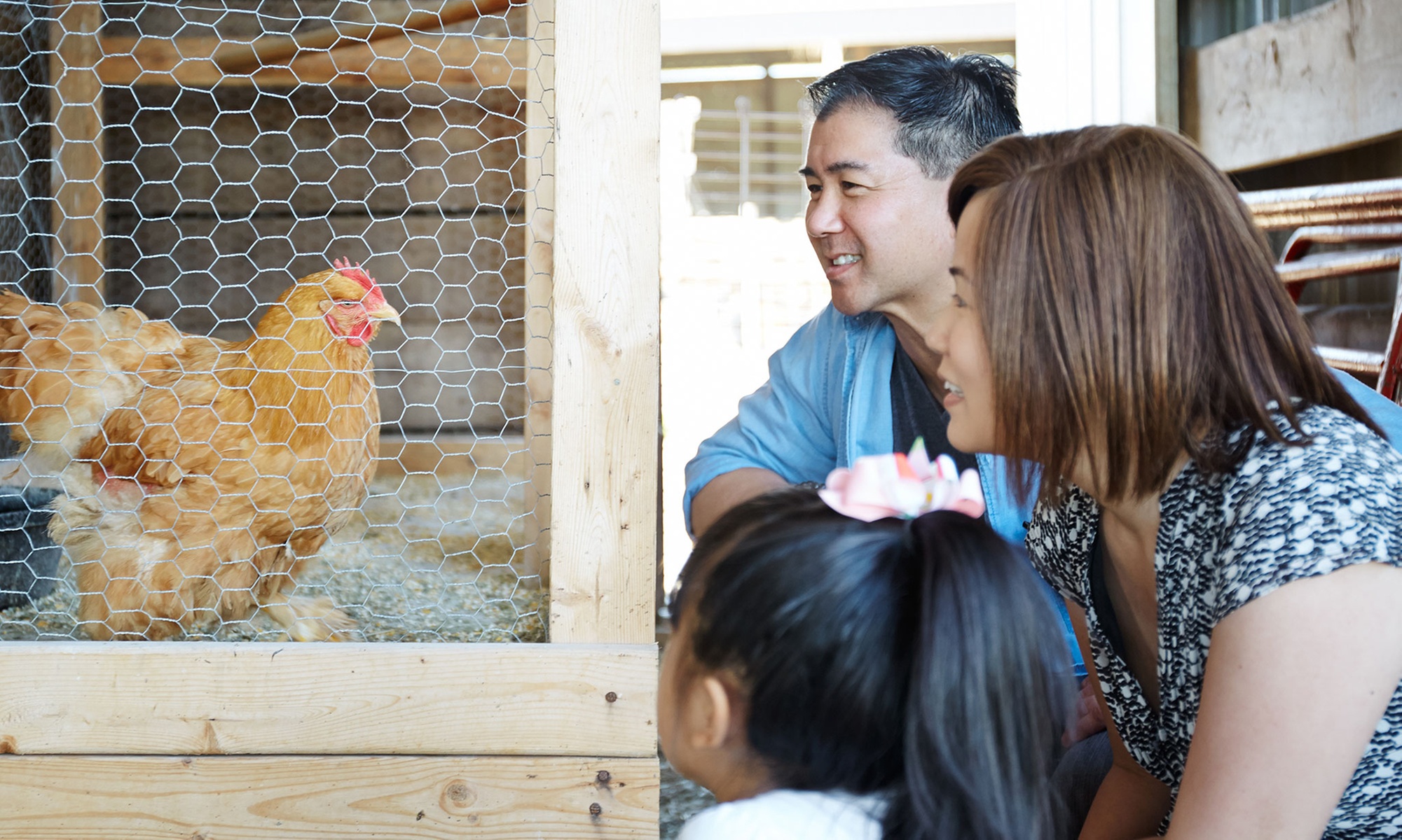 Summit Reins Interactive Farm Experiences