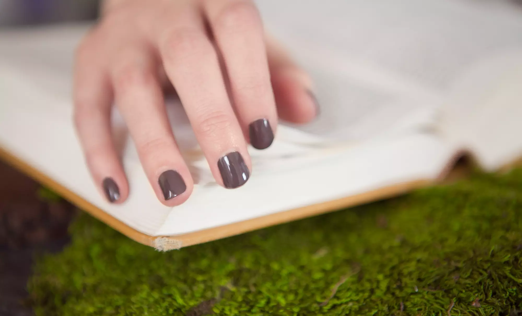 One or Two Groupons, Each Good for a Soothing Lavender or Citrus Hydrating Manicure at Mint Nail Lounge (51% Off) - Primary Image