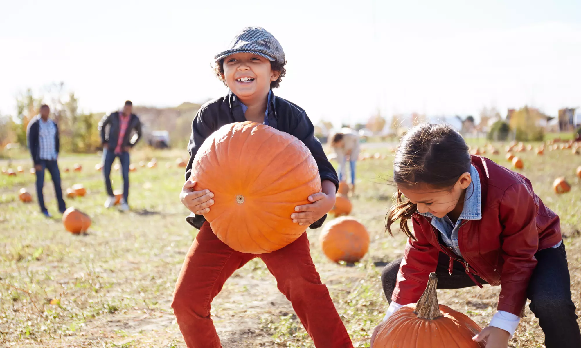 Chowchilla’s Corn & Pumpkin Junction: Hayrides + Pumpkins