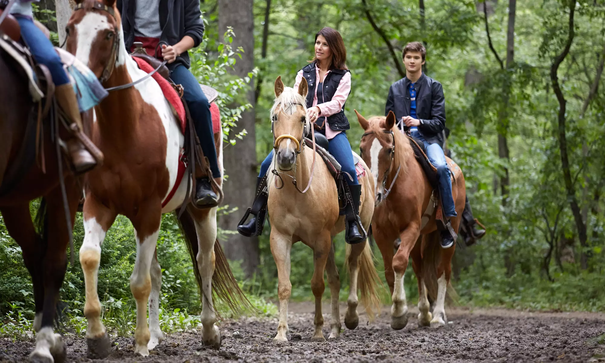 Guided Trail Ride and Wine-Tasting Package for One or Two at Skywater Wine Tasting Journey (Up to 43% Off) - Primary Image