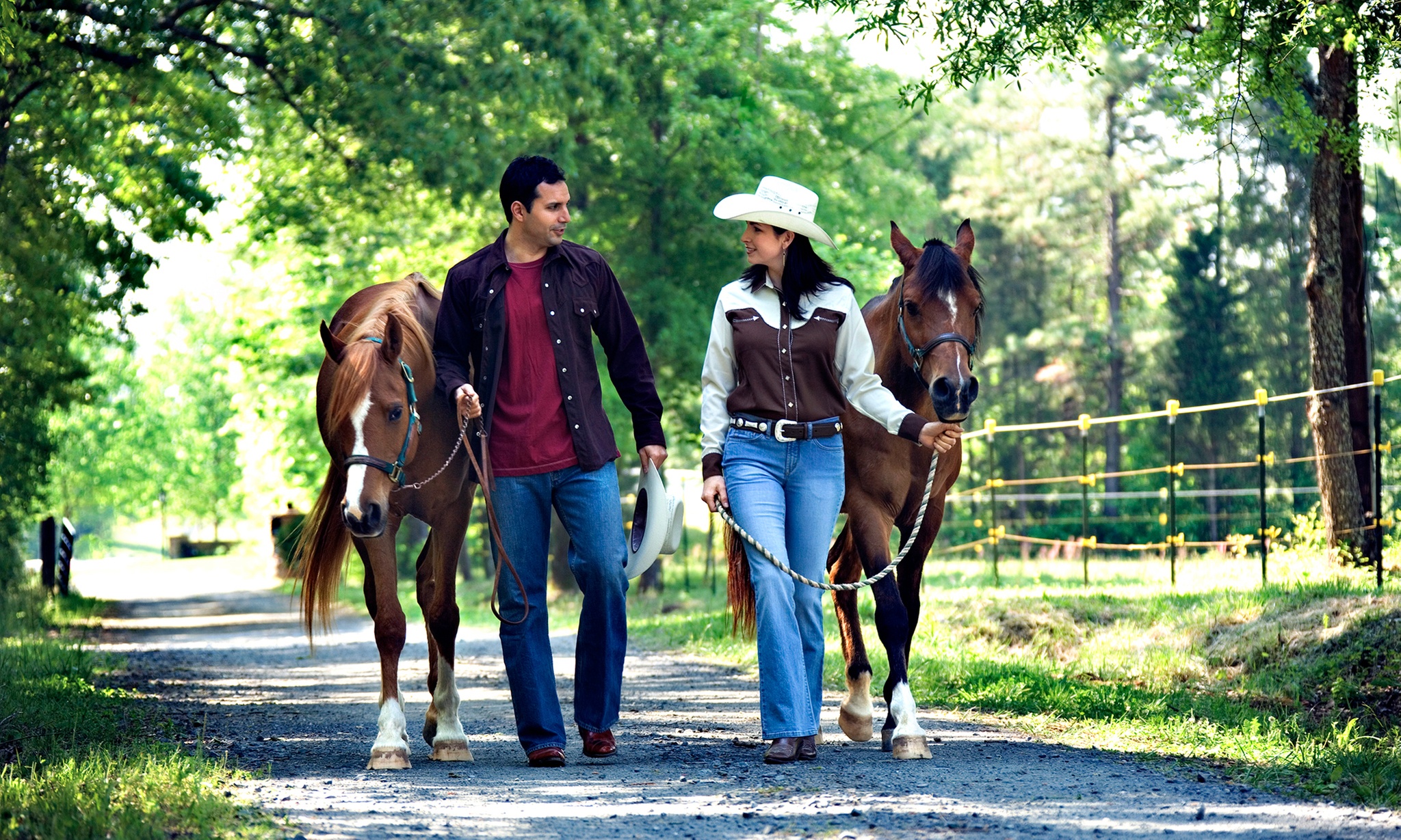 AJ Carriage and Livery in Charlotte | Groupon