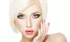 Revamp Your Style with a Haircut with Optional Partial or Full Highlight / Brazilian Blowout (Up to 49% Off)