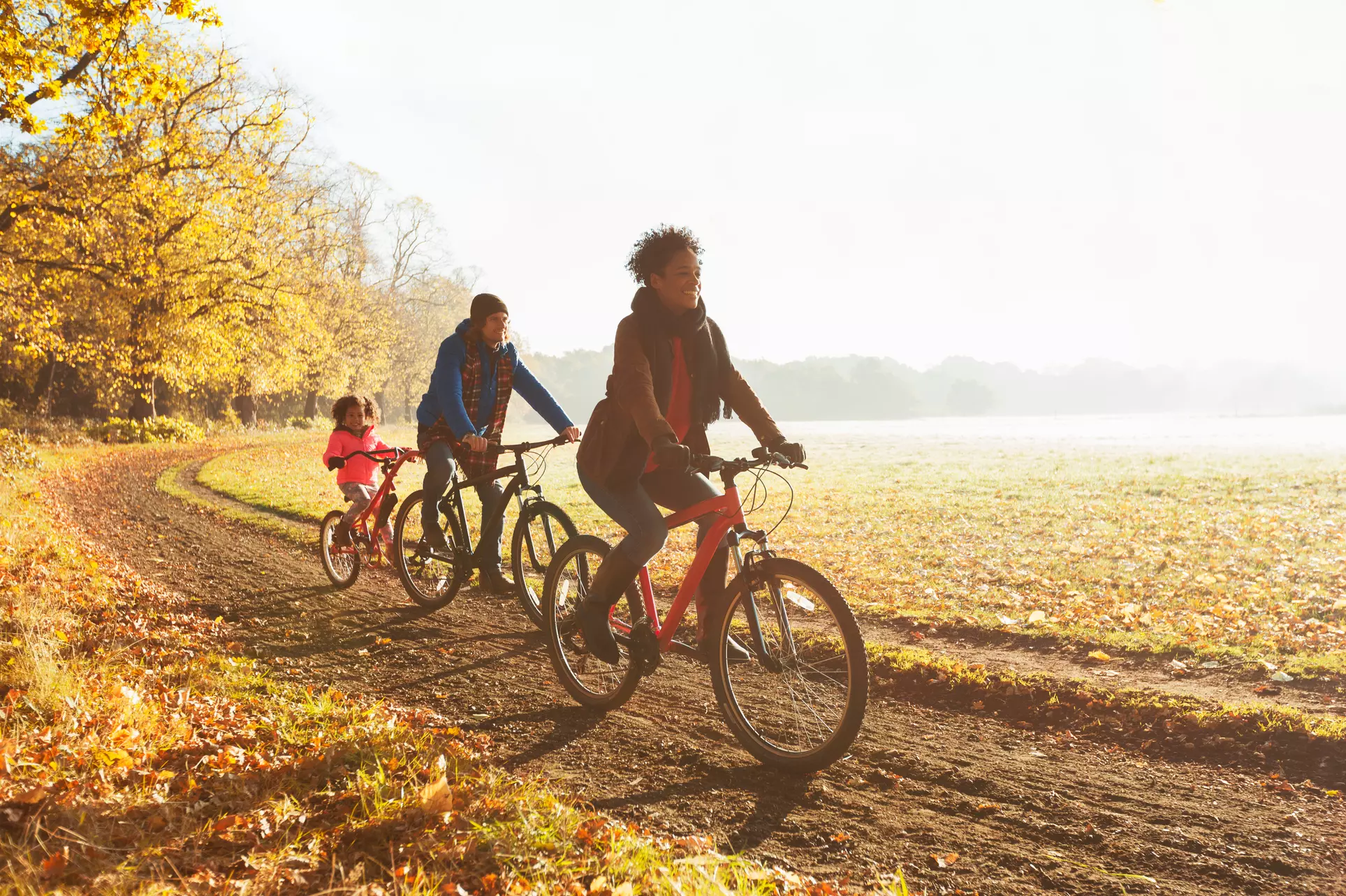 Effortlessly Explore Sarasota: Eco-Friendly Electric Bike Rentals & Guided Tours