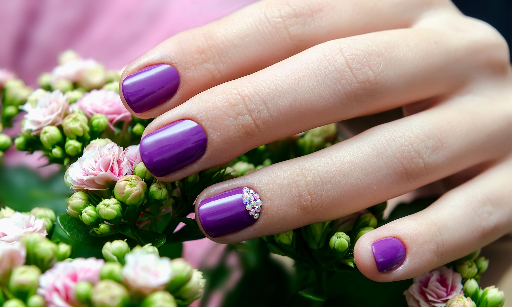 Up to 46% Off on Nail Salon Gift Card at Nail artistry with cat