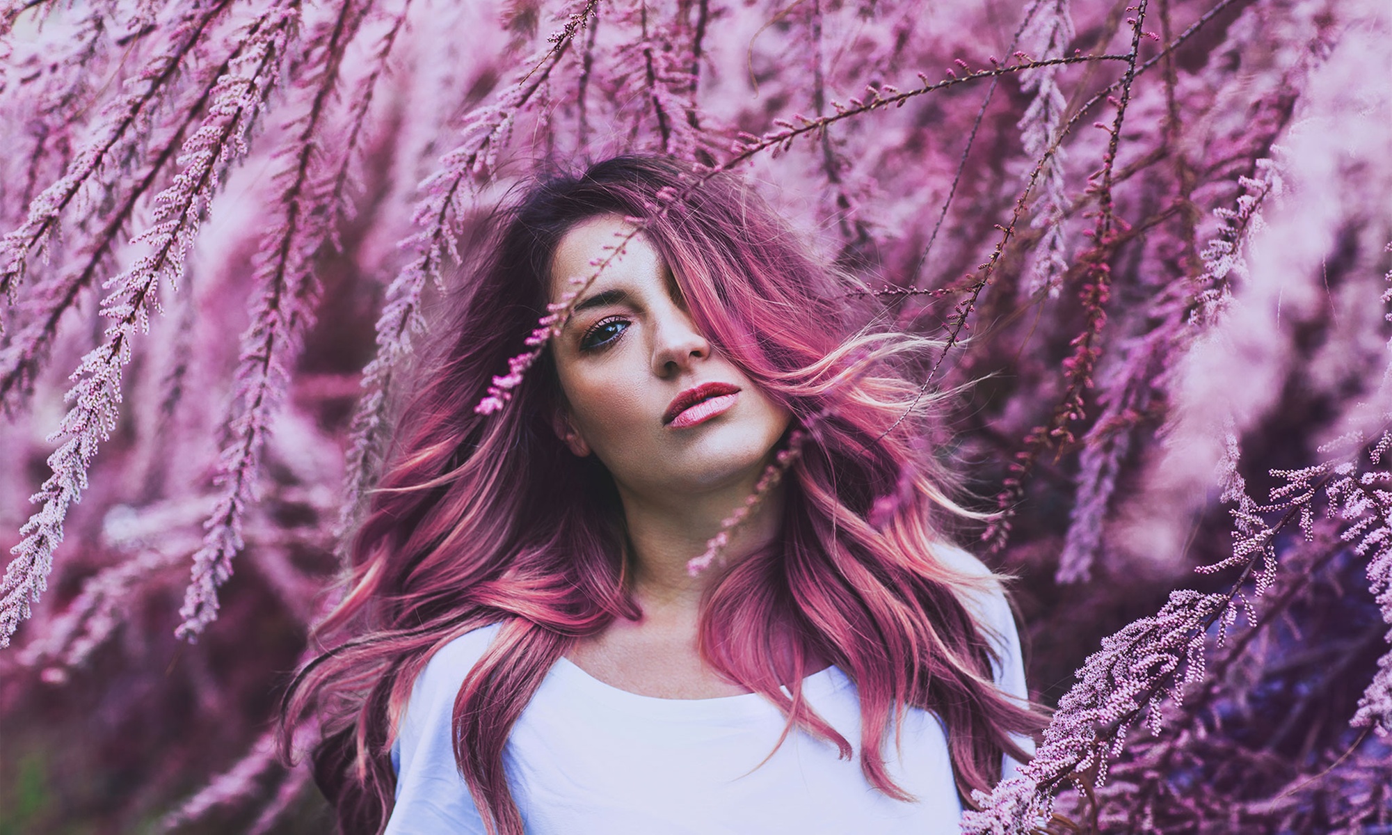 Haircut, Condition, Blow-Dry w/w/o Half/Full Highlight or Single Color