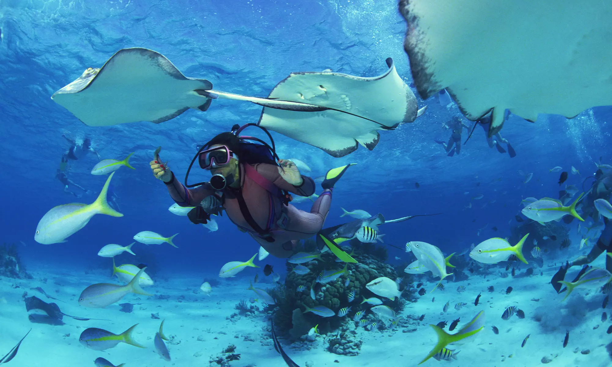 Boat Dive or Snorkel Adventure w/ Hilo Ocean Adventures (Up to 27% Off). Three Options Available. - Primary Image