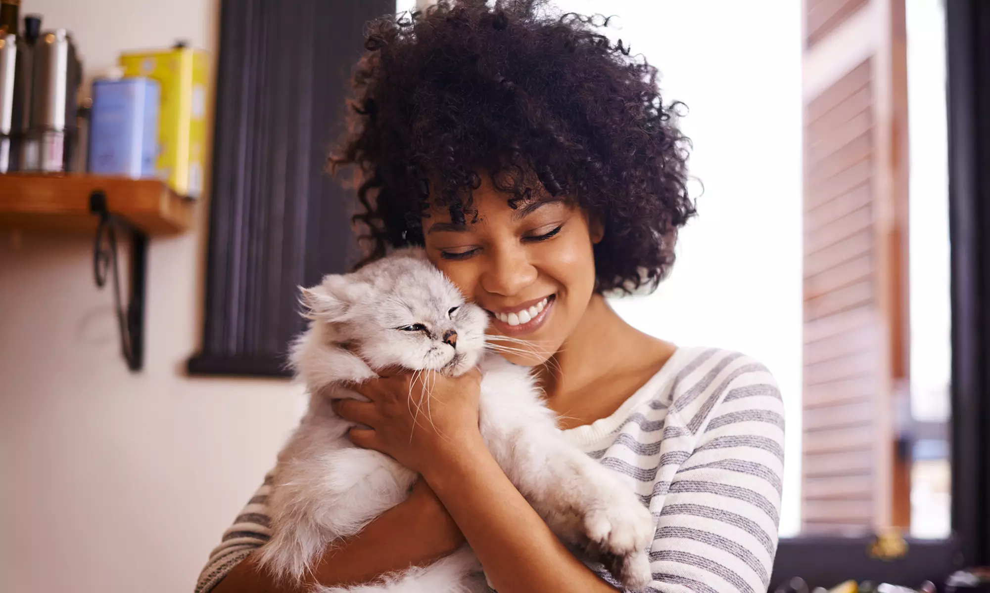 $39 for One Pet Psychic Communication Session from Judy Guetig ($75 Value) - Primary Image