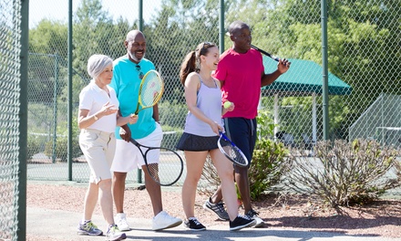 For One Adult: 60 Minute Group Tennis Lesson - Pro Tennis Lesson