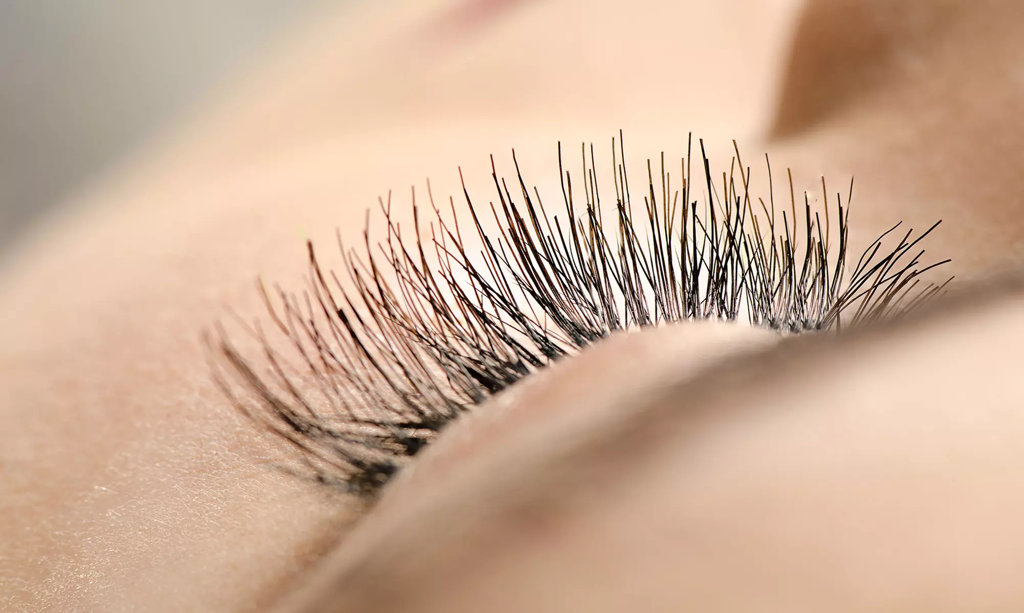 Eyelash Lift and Optional Tint at Pittsburgh Glam Team (Up to 42%_percentage Off) - Primary Image