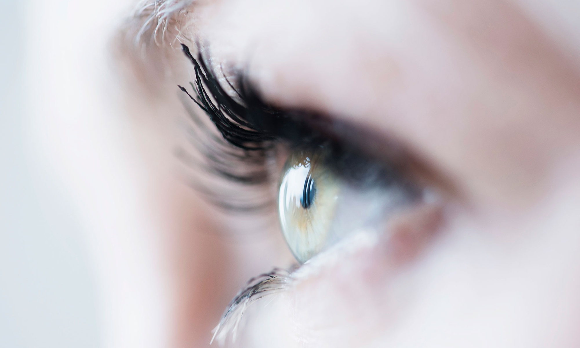 Enhance Your Lashes and Brows with Southern Charm Beauty's Extensions up to 24%