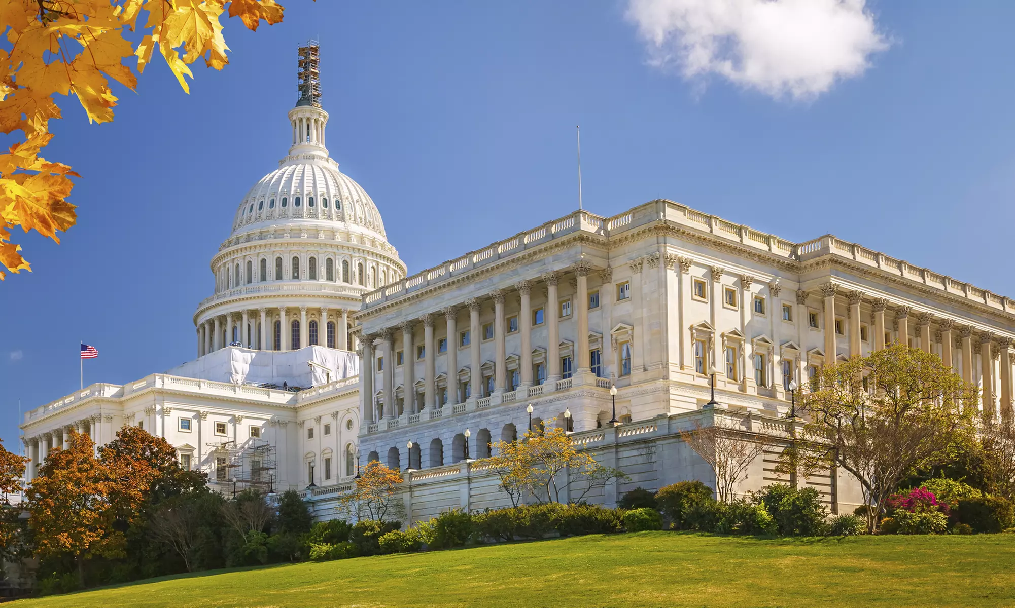 Uncover Egyptian Origins of Washington with a Private Guide