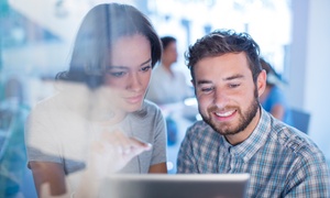 Vizual Coaching Academy: Online Flash and Mobile Games Design Course from Vizual Coaching Academy (92% Off)