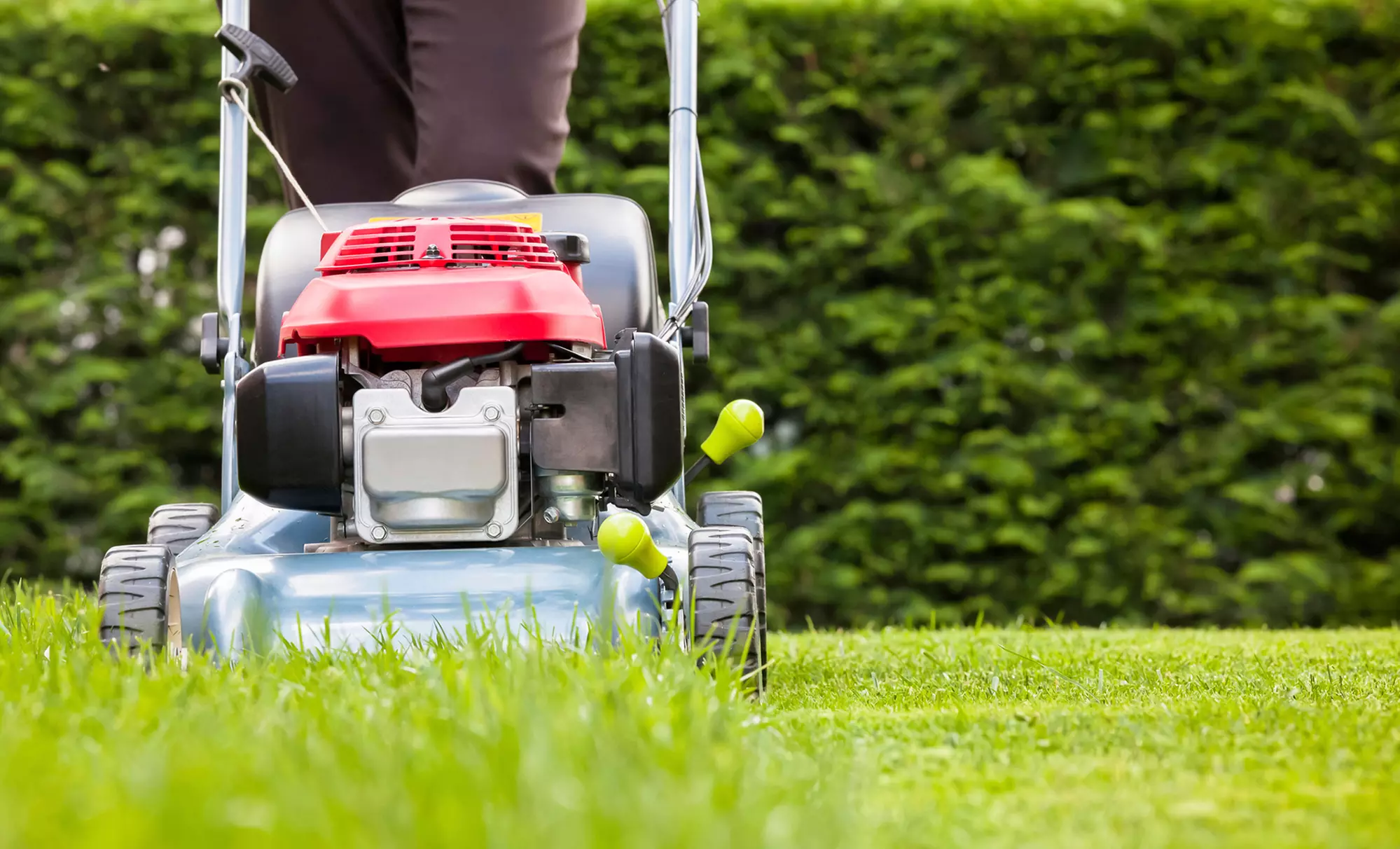One Lawn Cutting, Edging and Debri Removal for Up to 0.25, or 0.5 acre at Seed, Sod, and Sun - Primary Image
