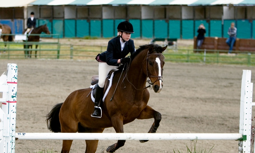 Image 1: Explore Horseback Riding with Multiple Lesson Options