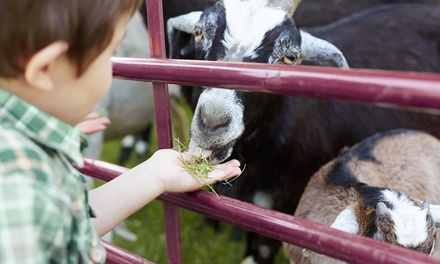 Exotic Animal Encounter - For 1 - Utah Petting Zoo at Ivie Acres Farm - Grantsville, UT