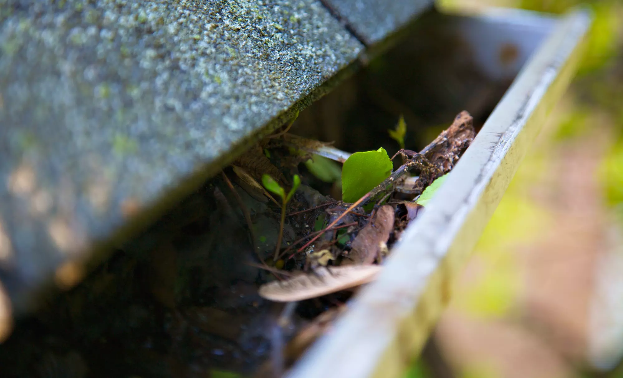 One- or Two-Story Gutter Cleaning from Reflections Pro Services (Up to 47% Off) - Primary Image