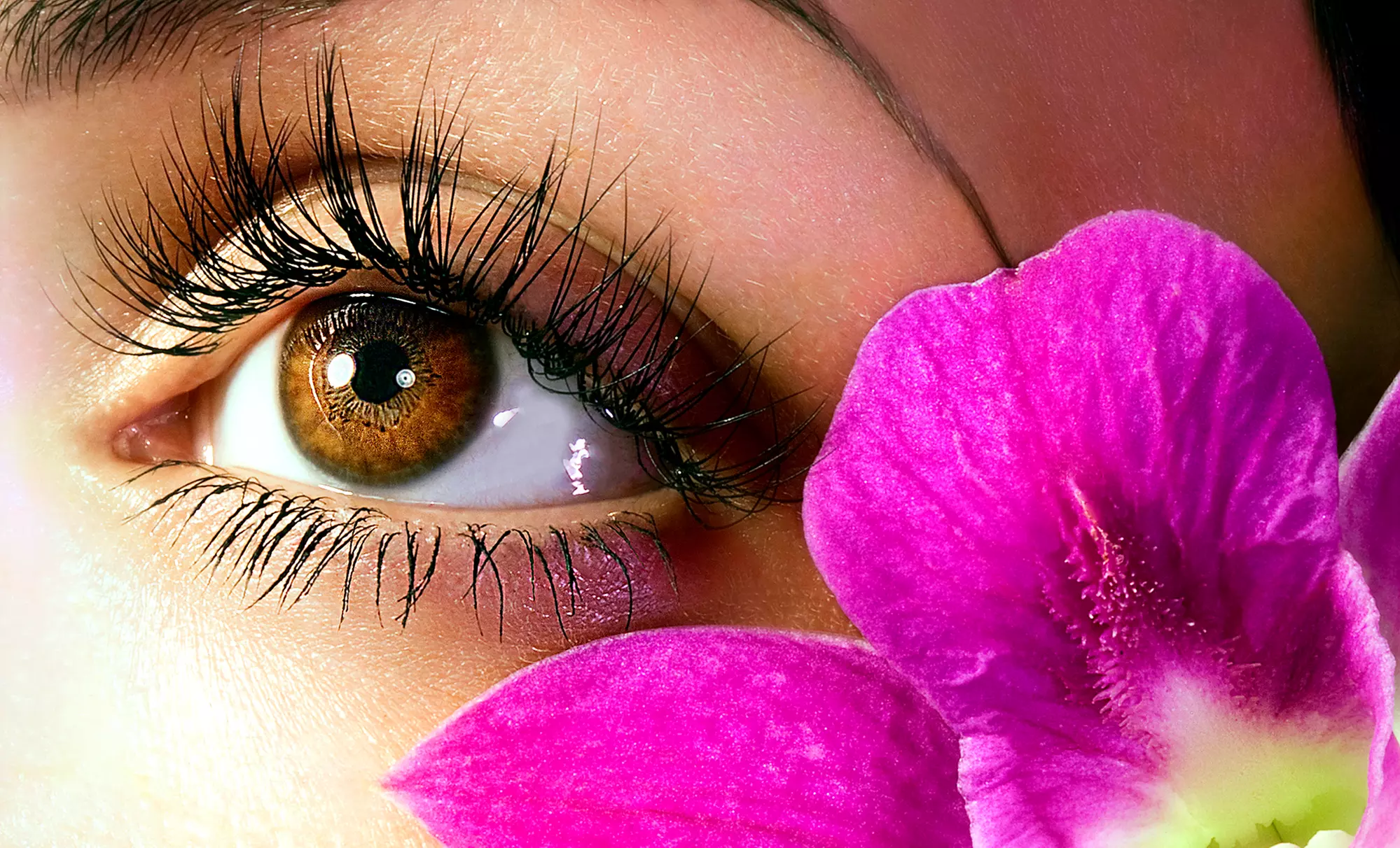 Eyelash Extensions with One or Two Fills at Danuta's Eyelash Extensions (Up to 60% Off) - Primary Image