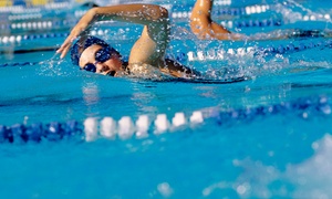 Elite Sports: Group Swimming Lessons: Four or Eight from AED 175 at Elite Sports (Up to 59% Off)