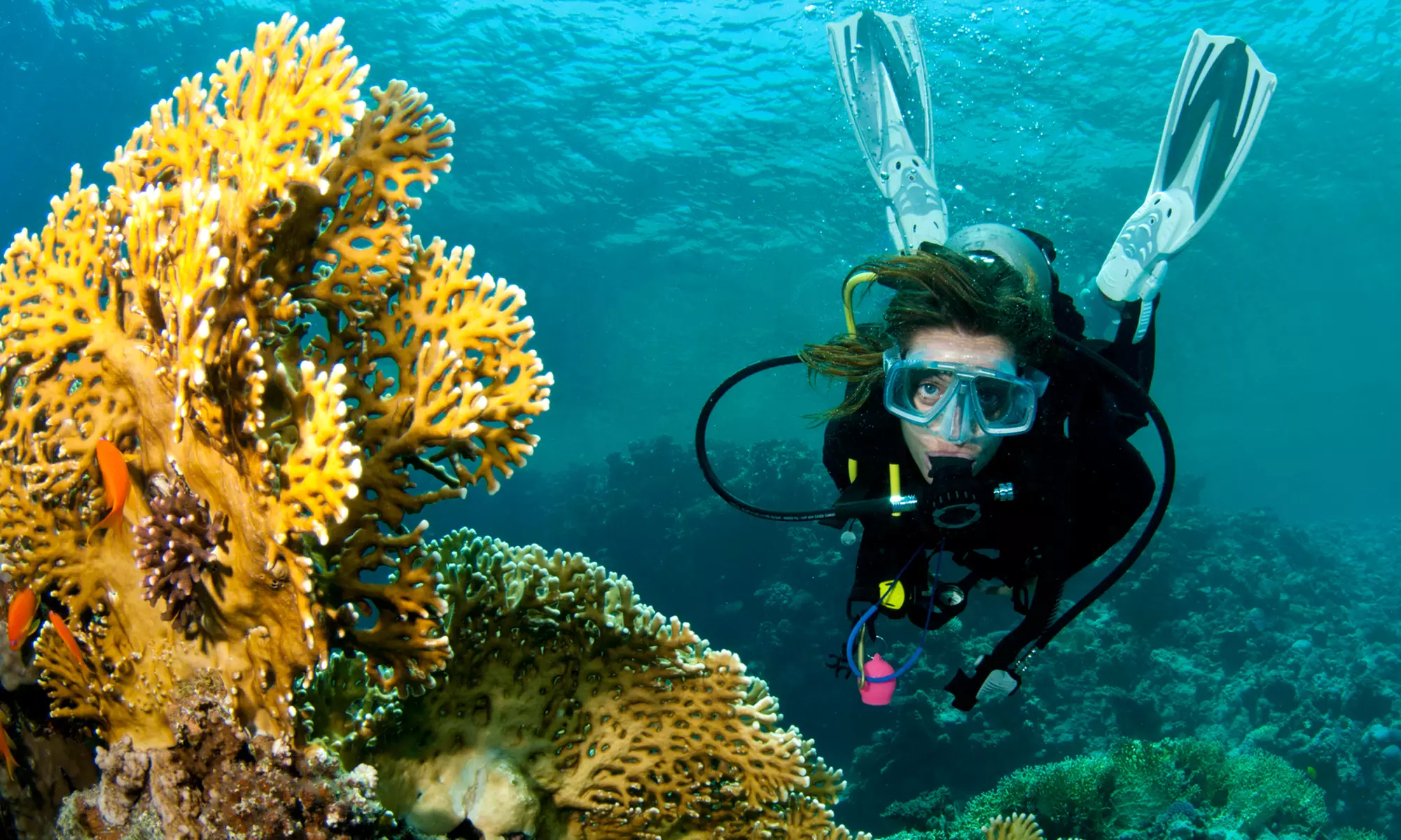 Scuba-Diving Experience for One, Two, Four, or Six at Diving Key West (Up to 51% Off). No Certification Required. - Primary Image