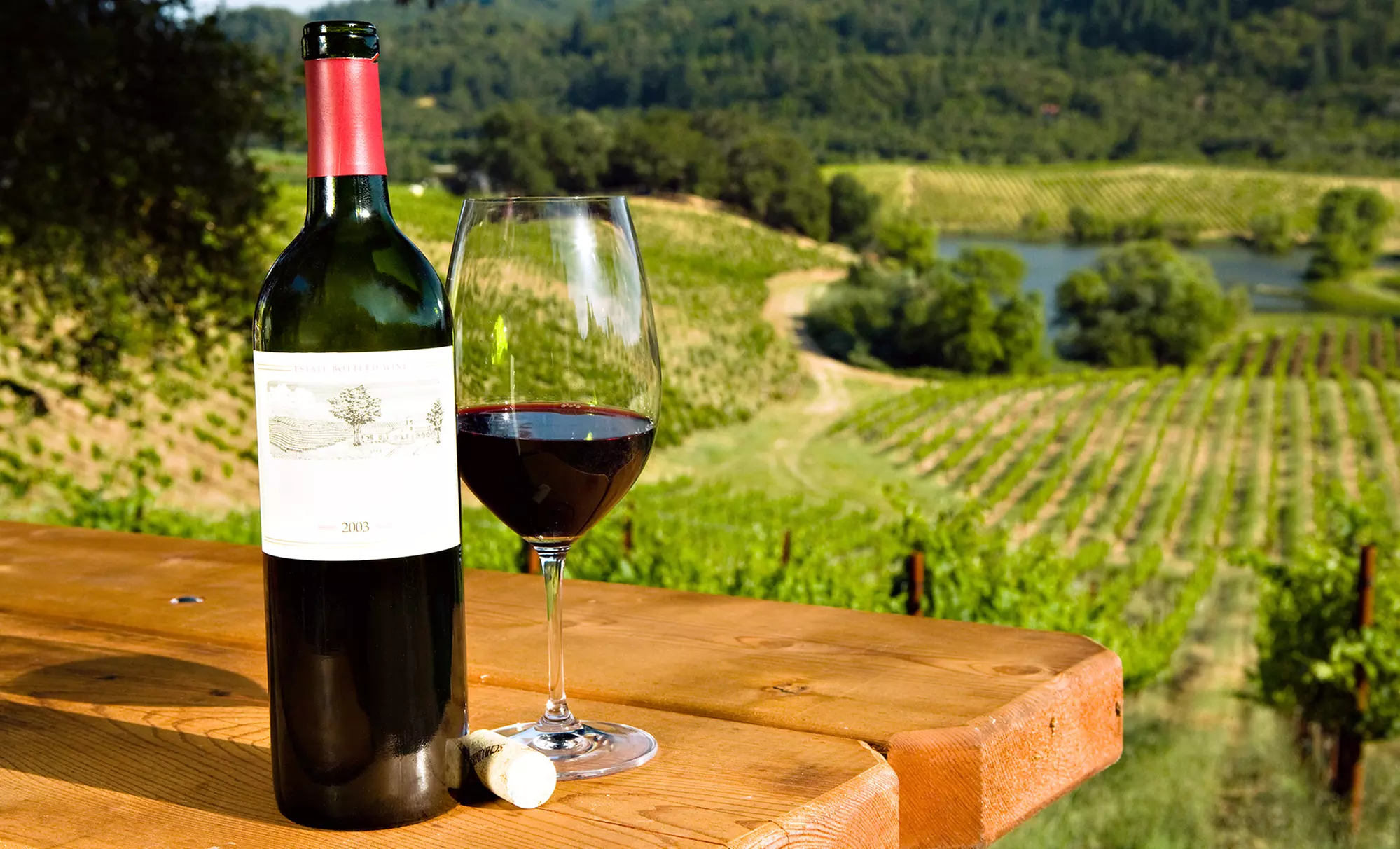 Enjoy Wine and Slushy Tasting for One or Two!