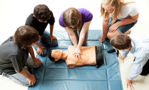 56% Off an Online First-Aid and CPR Certification Course 