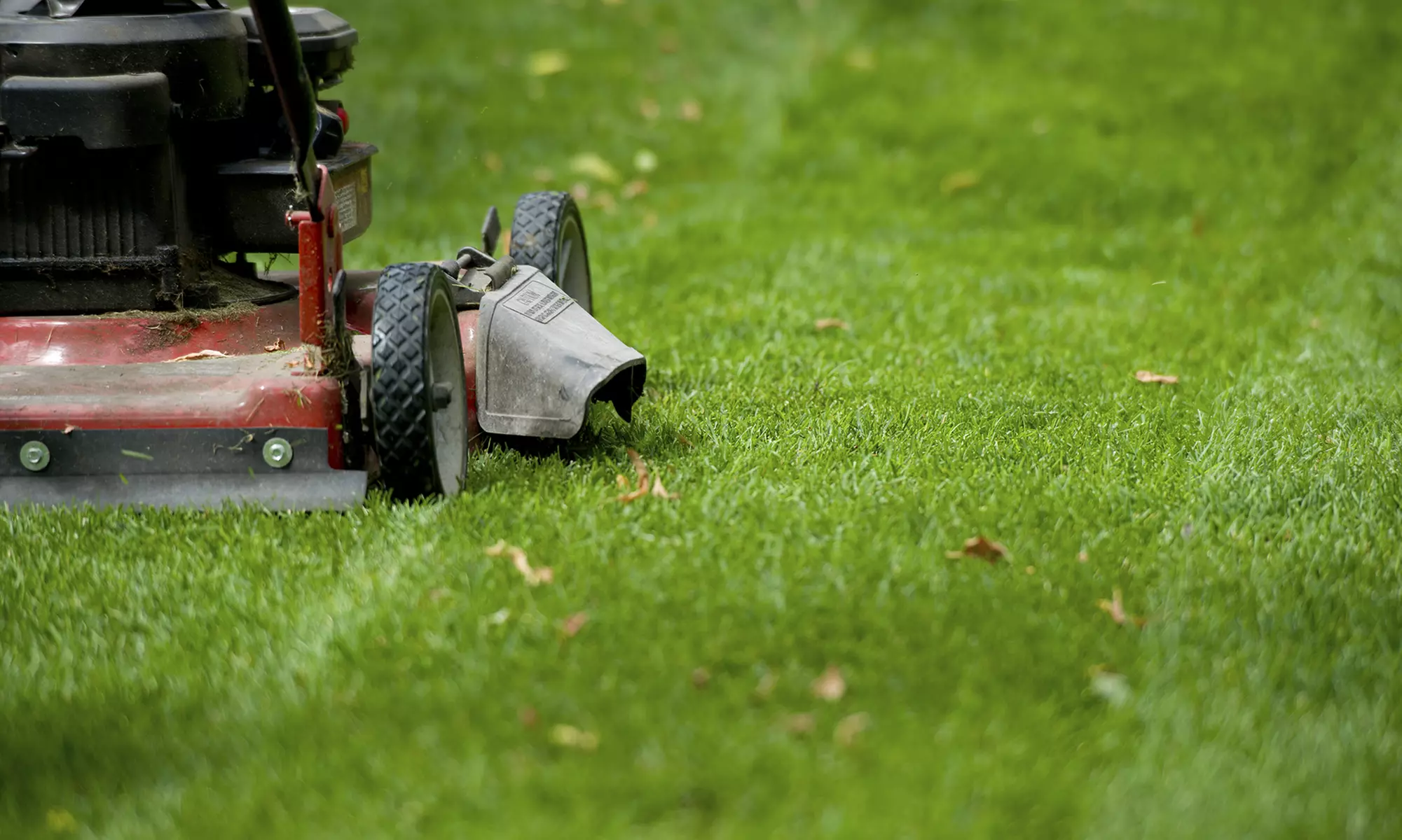 Transform Your Yard with Landscaping, Lawn Care, Clean-Up Services & More (Up to 75% Off) on Landscaping - Primary Image