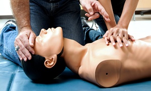 51% Off an Online First-Aid and CPR Certification Course