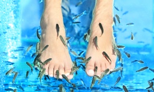 Fisch Spa & Wellness: Fisch-Pediküre inkl. Getränk für 1 o. 2 Personen, opt. mit Detox-Behandlung, im Echten Fische-Spa(bis zu 50% sparen*)