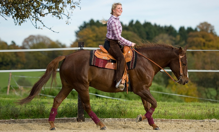 Image 1: 3 o 5 lezioni di equitazione