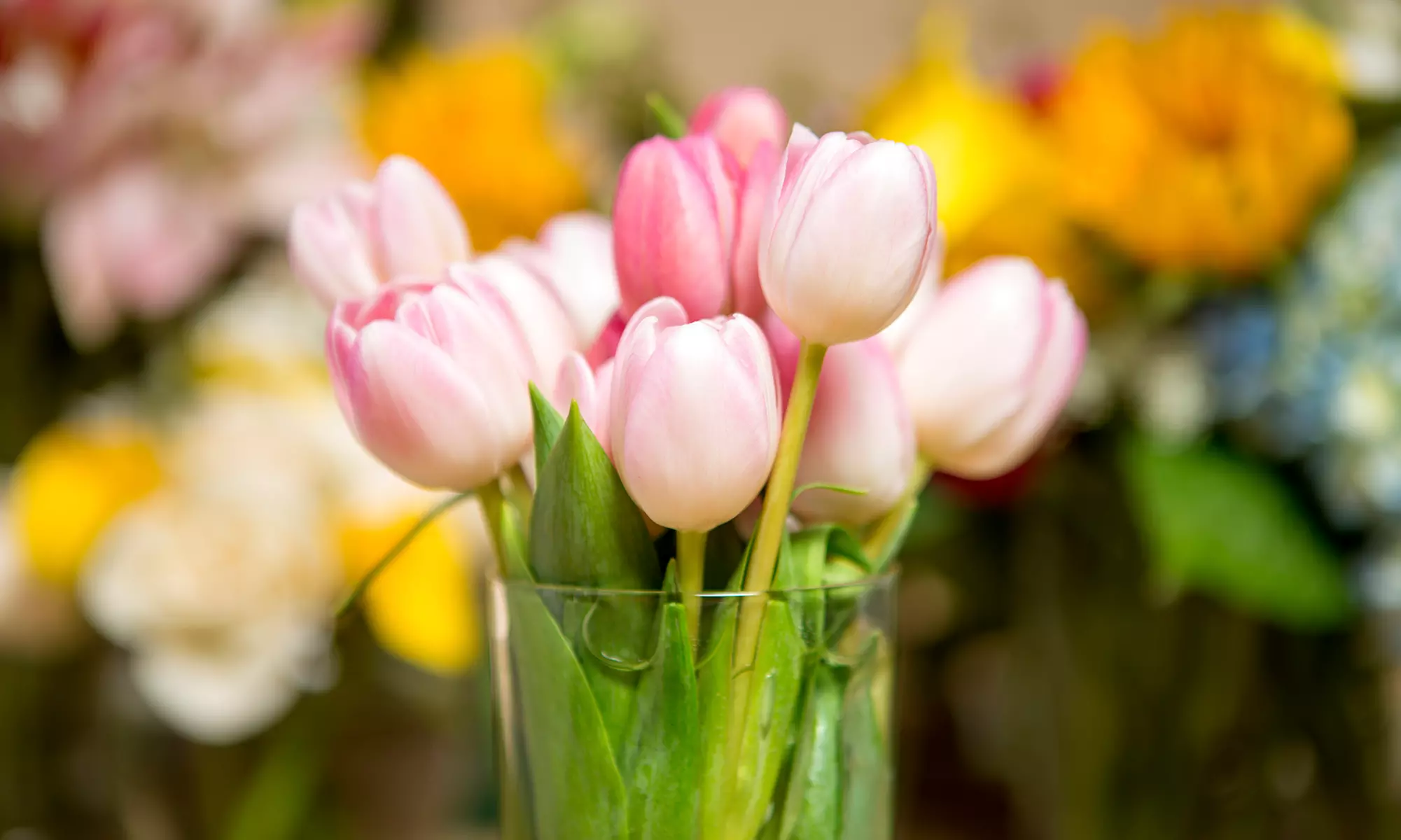 Up to 45% Off on Floral Arrangement Services at Green Star Foods - Primary Image