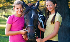 Up to 52% Off Horseback-Riding Lessons