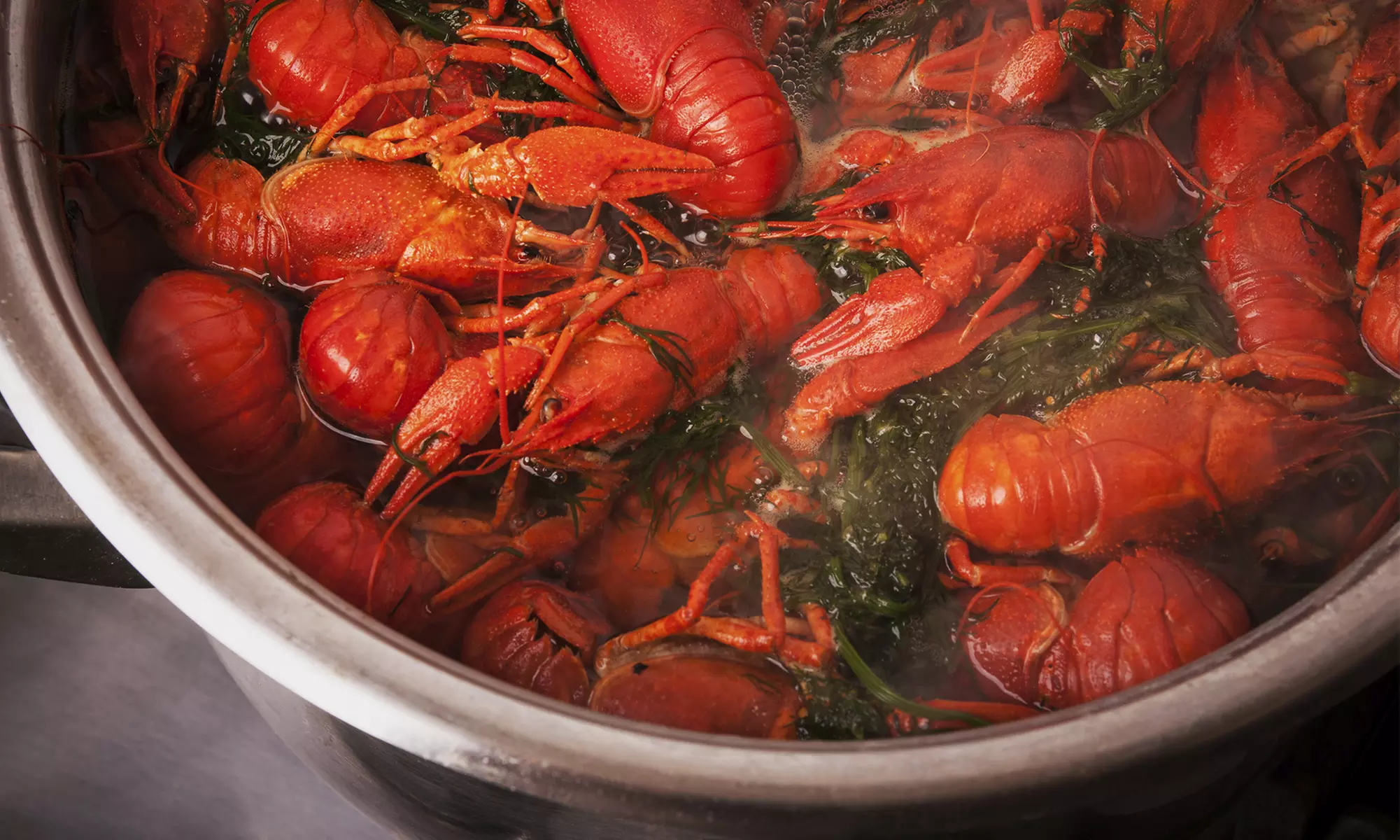 $12 for $20 Worth of Authentic Louisianna Live Seafood and creole food at Shaking Crawfish - Primary Image