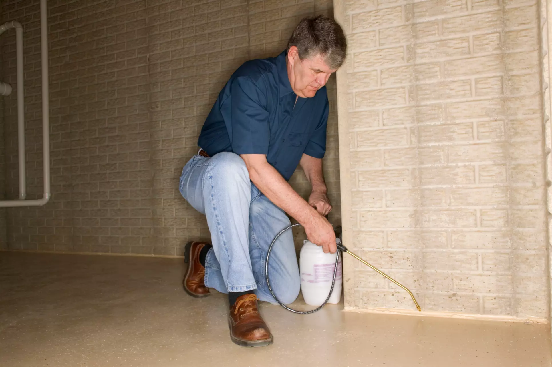 Up to 66% Off on Pest Control Service - Termite at A-1 PEST & TERMITE - Primary Image