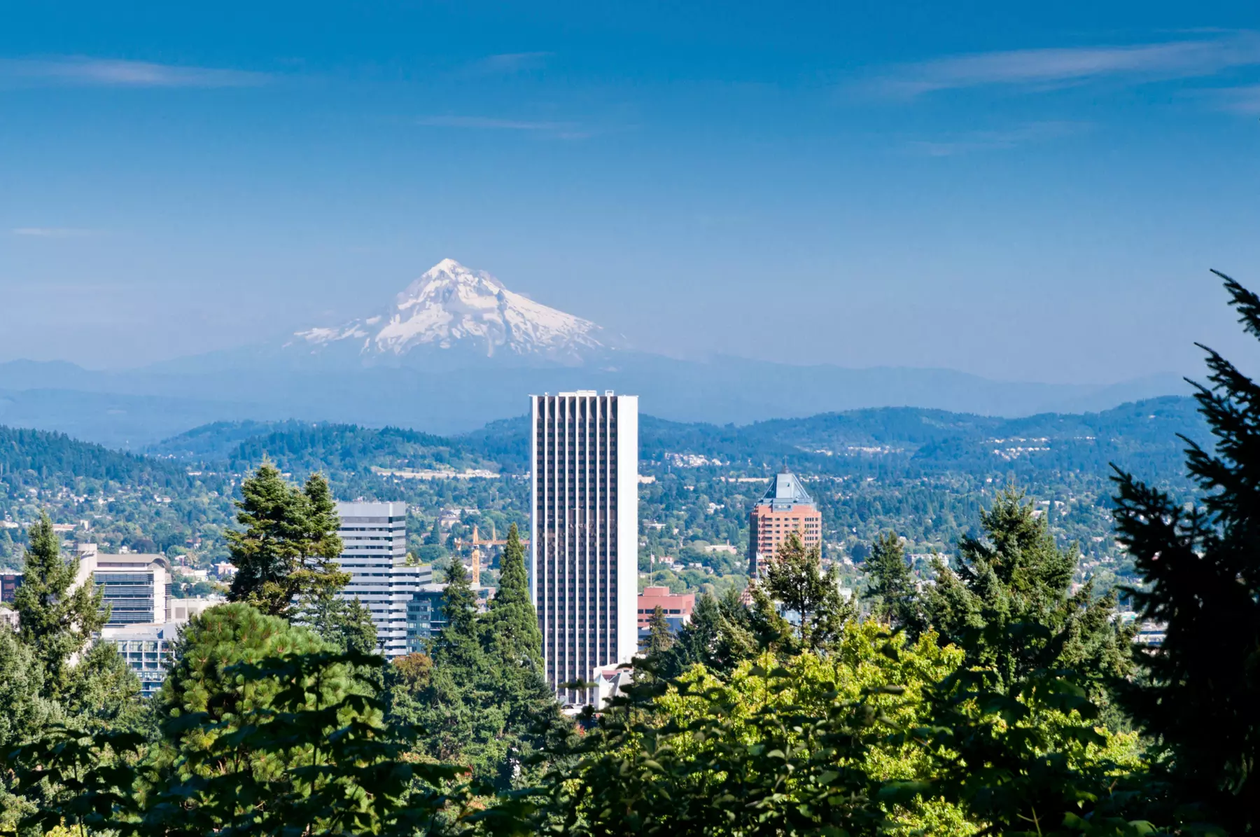 Enjoy you Hotel stay at the Four Points by Sheraton in beautiful Portland, OR. Book now for an unforgettable experience! - Second Medium