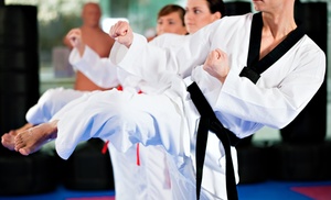 Three Taekwondo Classes