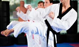 Three Taekwondo Classes