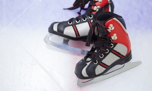 Enjoy ice skating and rentals for 2, 4, or 8 at Franklin Park Ice Arena