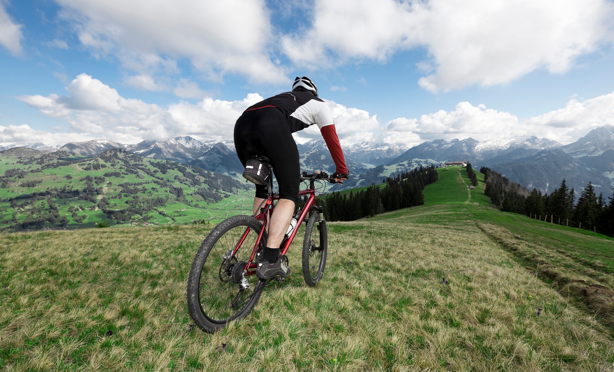 Get Comprehensive Bike and eBike Servicing in Brighton