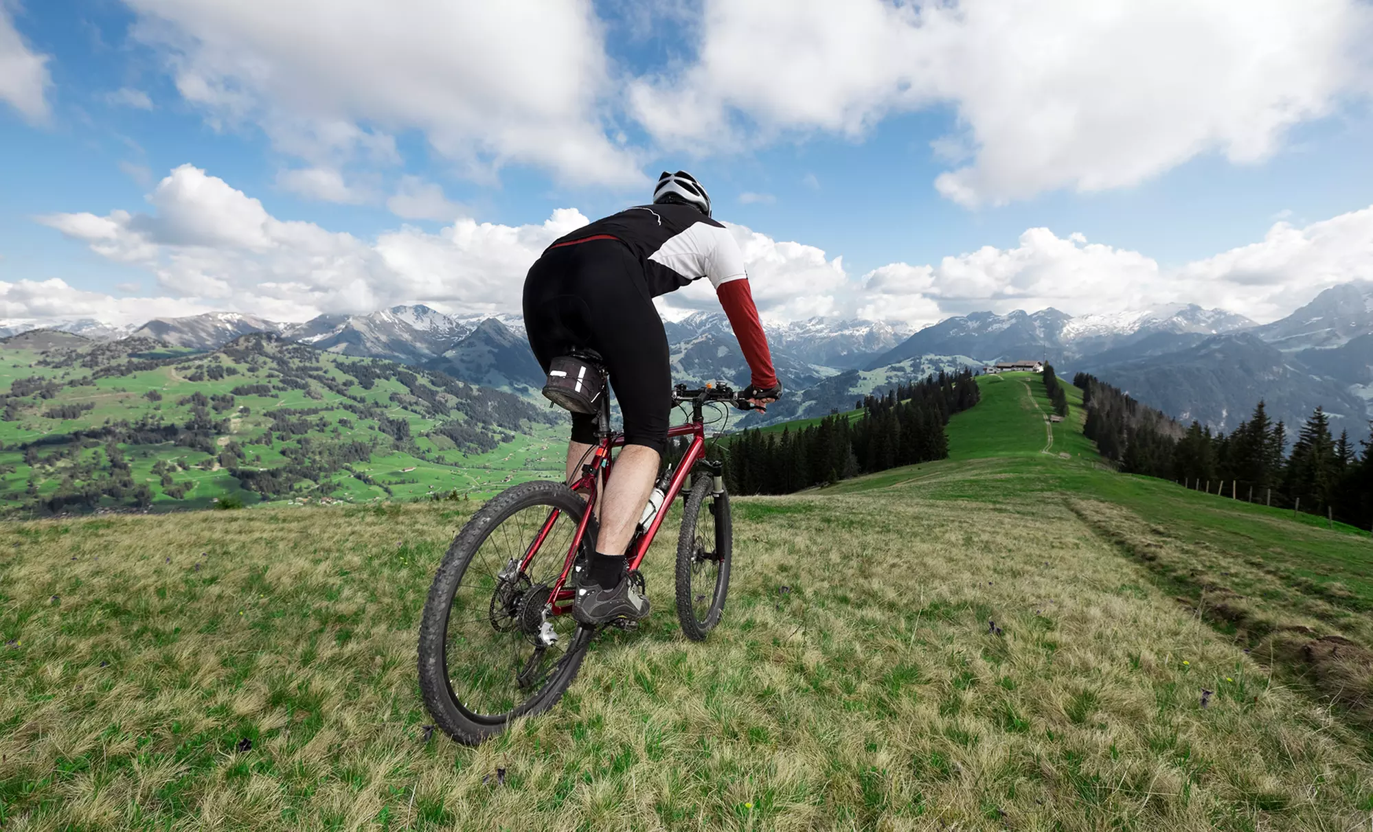 Get Comprehensive Bike and eBike Servicing in Brighton